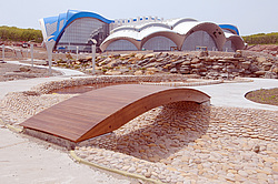 ������� ������ ������