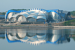 ������� ������ ������