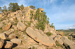 ������� �������