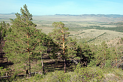 ������ ������ �������, ��� � ����������� ��������, �������