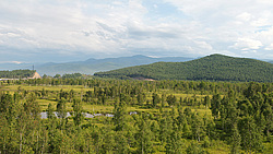 ������, ������