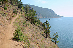 ������� �������