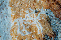 ���������� ��������, ����� ������