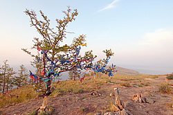 ������ �������, ������ ����, ����� ������