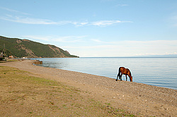 ������ ������� �� ������ ����� ������, ������� ������� ����