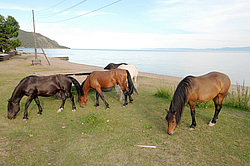 ������ ������� �� ������ ����� ������, ������� ������� ����