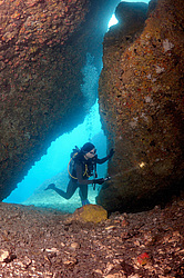 ��������� ��� ��������