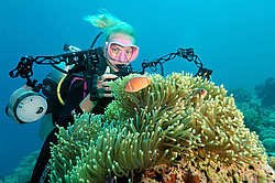 ��������� ��� ��������