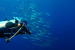 ��������� ��� ��������