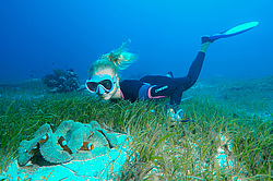 ��������� ��� ��������