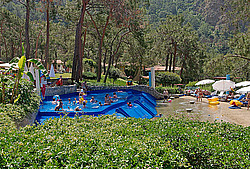 ������, ��������