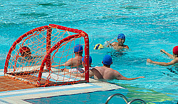 ������, ��������