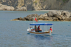 ������, ��������