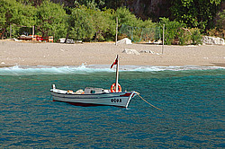 ������, ��������