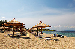 ������, ���������