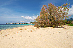 ������, ���������