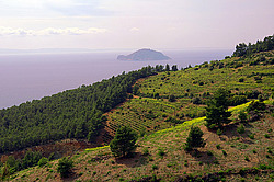 ������, ���������