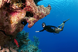 ���������� � ������� ����, ������