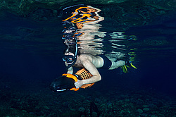 ���������� � ������� ����, ������