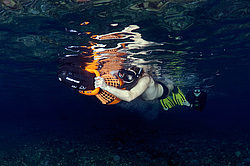 ���������� � ������� ����, ������