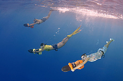 ���������� � ������� ����, ������