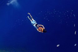 ���������� � ������� ����, ������