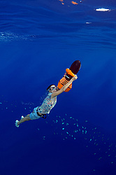 ���������� � ������� ����, ������