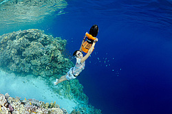 ���������� � ������� ����, ������