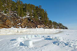 ������� ������ ����