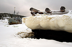 ������� ������ ����