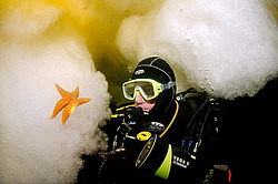 ��������� ������� �� ����� ����