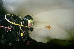 ��������� ������� �� ����� ����