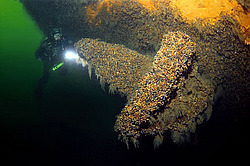 �����, ��������� ������������ ����� ������