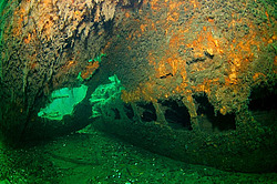 ����, �������� �����, "��������� ����������"