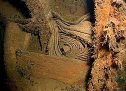 �������� �����, �������� �����, "��������� ����������"