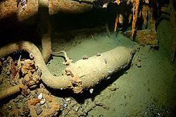 �������� ���������, ������� �����, "��������� ����������"