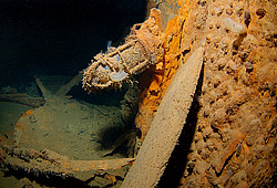 �������� ���������, ������, ������� �����, "��������� ����������"