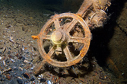 �������, ������� �����, "��������� ����������"