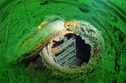 ���, �������� �����, "��������� ����������"