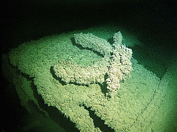 �����, ������� �����, "��������� ����������"