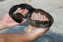 �������� ������� ������ "JU-52" �� ��� ������� ����. ������, �������