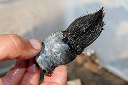 �������� ������� ������ "JU-52" �� ��� ������� ����. ������, �������