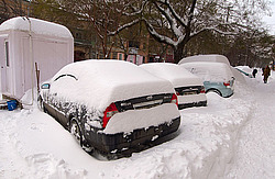 ������ ������� ������, 2009, 12, 19