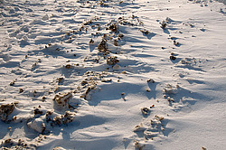 ������ ������� ������, 2009, 12, 19