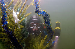 ��������� ��� �����. ����������� ������ ���� � ������