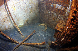 ��������� ������������ ����� ������, ����������� �� ����� ���