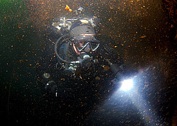 ��������� ������������ ����� ������, ����������� �� ����� ���