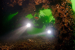 ��������� ������������ ����� ������, ����������� �� ����� ���