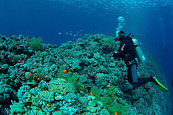 ������� ���� (Blue hole) - �����, ������� ����, ������
