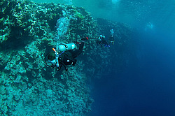 ������� ���� (Blue hole) - �����, ������� ����, ������
